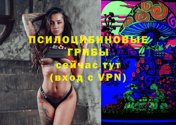 прущая мука Богородск