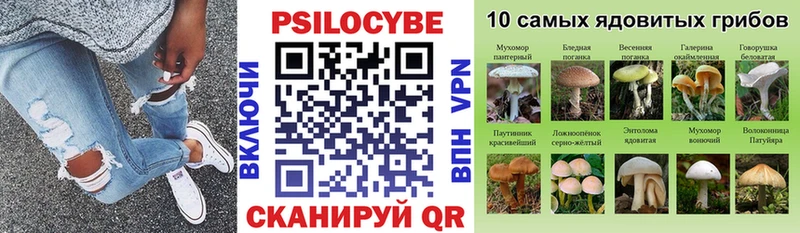 Псилоцибиновые грибы прущие грибы  Калининец 